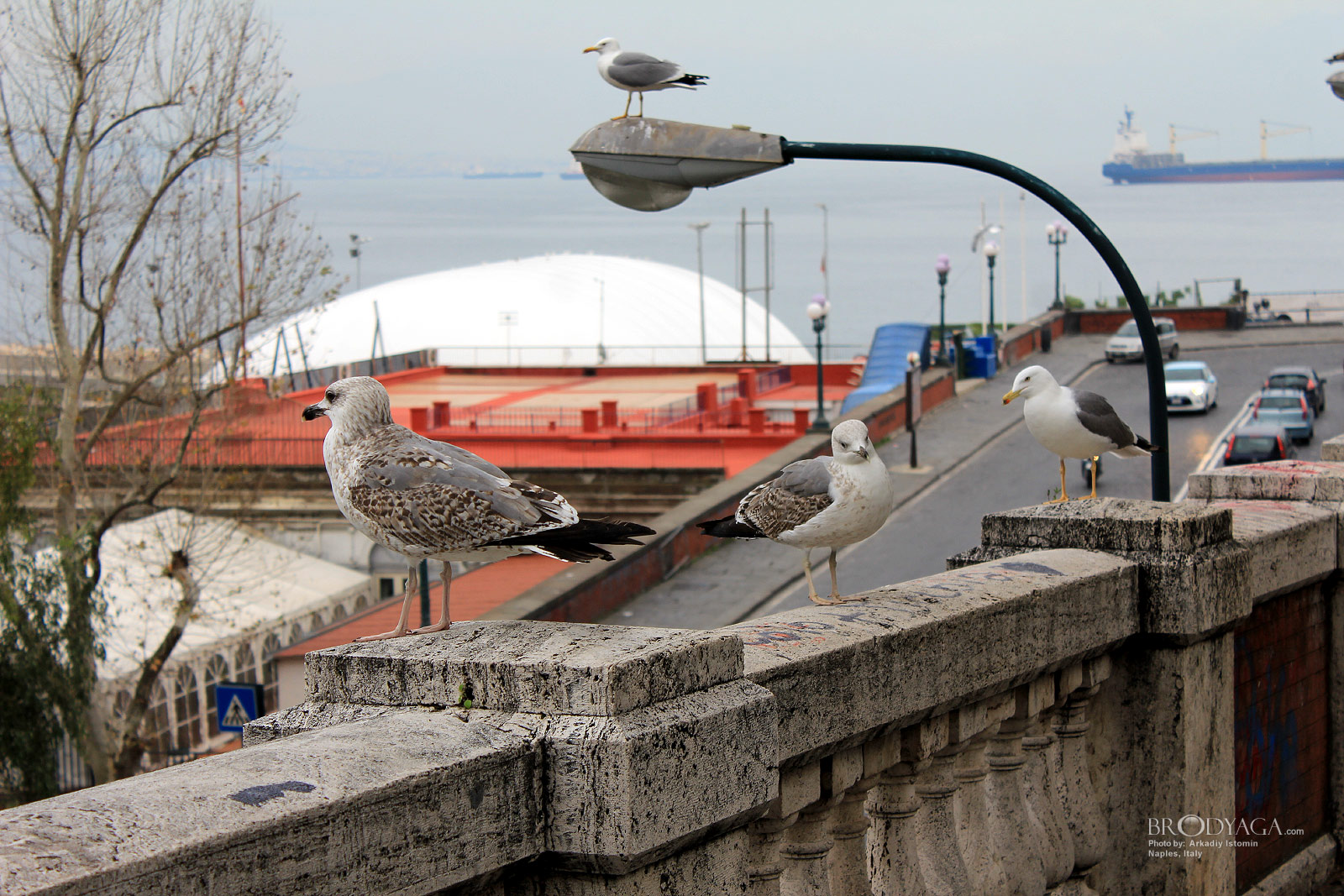 Naples